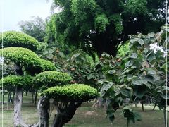 -南宁南湖公园