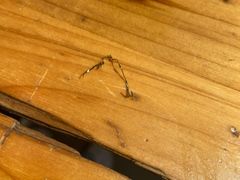 -泰顺江南春面馆