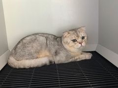 -拜鲁耶动物诊疗中心·宠家动物医院