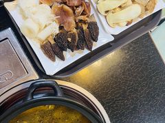 -蘑统田下·野生菌火锅