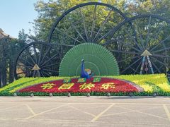 -呀路古热带植物园
