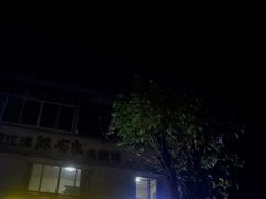 -陈有良尖椒鸡(江津总店)