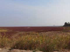 -辽宁团山国家级海洋公园