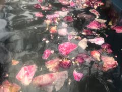 -宁海森林温泉