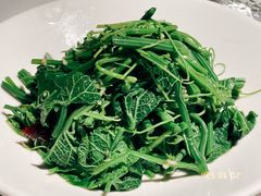 清炒丝瓜苗-匠熙小馆(崇文门店)