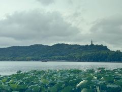 -湖畔居茶楼(湖滨店)