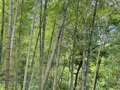 -千泷沟大瀑布旅游区