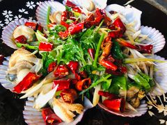 -鲁前海沿儿