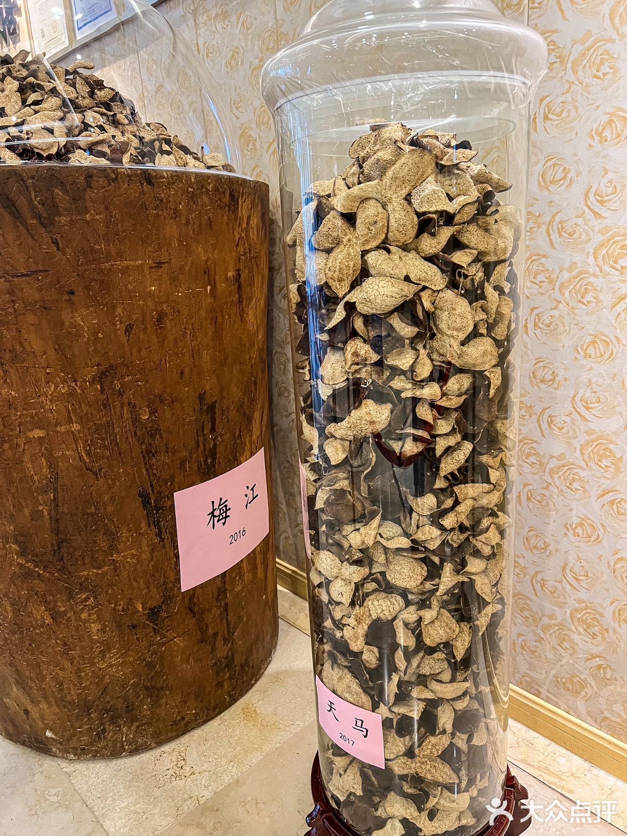 别搞钱了，来吃鱼🐟吧！🍲粤味风暴，盛宴待启！
