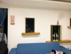-艾薇芭蕾艺术中心