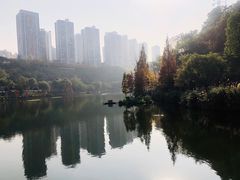 -重庆彩云湖湿地公园