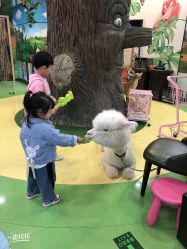 -未来动物城动物主题公园(大悦城店)
