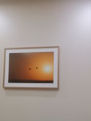 -北京米扬丽格医疗美容·联合丽格鼻整形中心