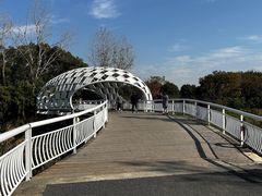 -同里国家湿地公园