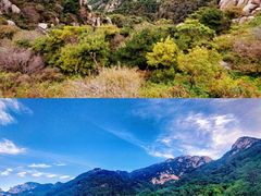 -泰山风景名胜区