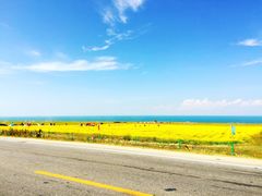-青海湖国家重点风景名胜区