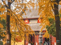 -西园戒幢律寺