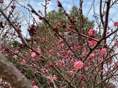 -杭州半山国家森林公园