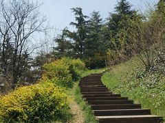 -浮山香苑