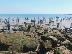 -青岛第三海水浴场
