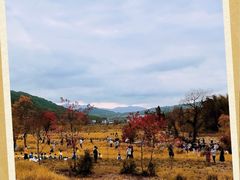 -塔川景区