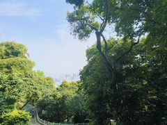 -广州市白云山风景名胜区