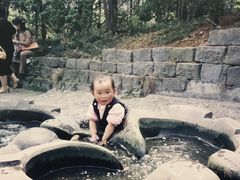 -成都市活水公园