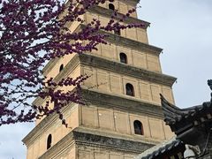 -大慈恩寺(大雁塔)