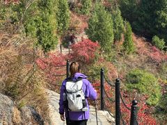 -白帝城·瞿塘峡景区