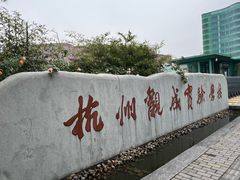 -杭州观成实验学校
