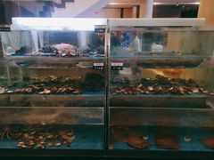 水产区-旺顺阁鱼头泡饼(小红门店)