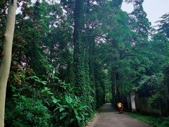 -华南国家植物园-售票处