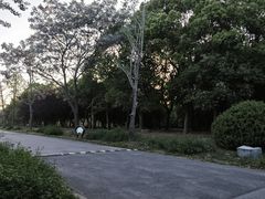 -蜀冈西峰生态公园