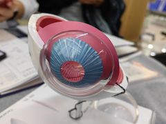 -武汉大学附属爱尔眼科医院(湖北总院)