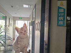 -半岛宠物医院24小时(西派城店)