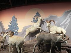 -陕西自然博物馆