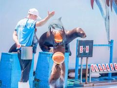 -秦皇岛新澳海底世界