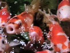 -嘉兴海底世界