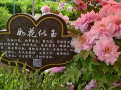 -洛阳市隋唐城遗址植物园