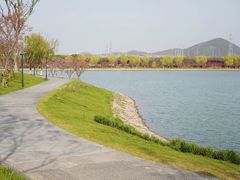 -羊山湖公园