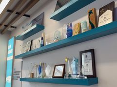 -武汉大学附属爱尔眼科医院(湖北总院)