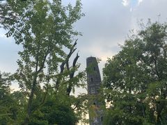 -上海佘山国家森林公园天马山园