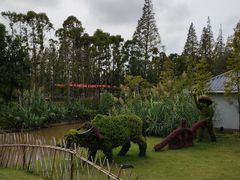 -上海长兴岛郊野公园