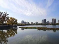 -莲花池公园