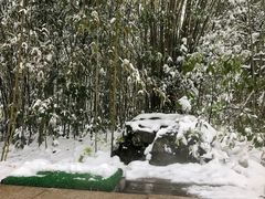 -咸宁万豪温泉谷度假区