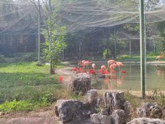 -石家庄市动物园