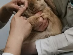 -惠康宠物医院(华能路店)