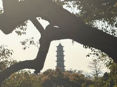 -江心屿景区