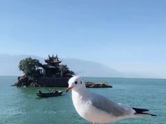 -小普陀