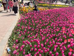 -石家庄市植物园